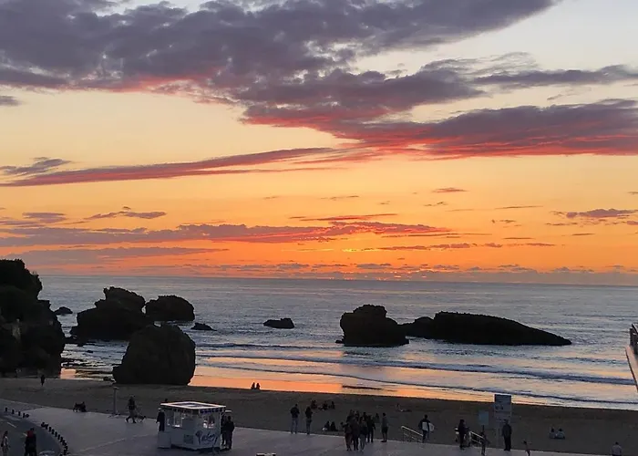 Vedetta - 4 Pers - 200 M Plage - Triangle D Or 公寓 *